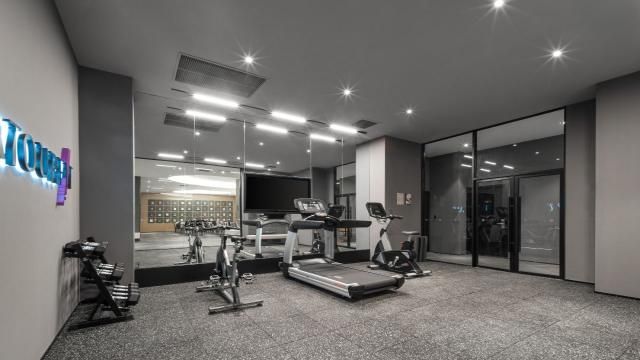 上海国际旅游度假区野生动物园亚朵X酒店