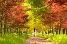 花开海上生态园