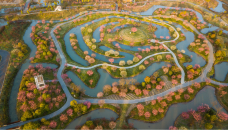 花开海上生态园