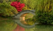 花开海上生态园