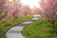 花开海上生态园