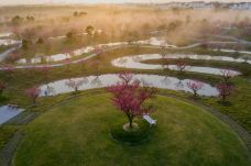 花开海上生态园